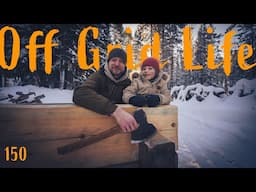 Building a Log Cabin in The Cold North