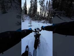 Fresh Snow Sure Makes Things Unpredictable #biking #crash