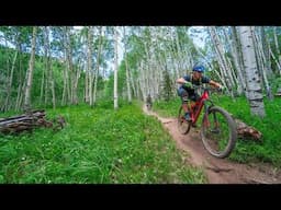 USA - The Ultimate Mountain Bike Road Trip?