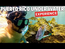 PUERTO RICO UNDERWATER EXPERIENCE | ROHAN VIRDI | HINDI VLOG