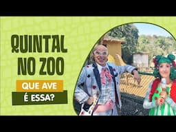 QUINTAL NO ZOO | QUE AVE É ESSA? | QUINTAL DA CULTURA