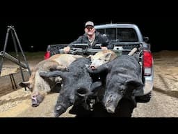 The Best Wild Hog Hunting of my Life! {Catch Clean Cook} Grilled Tenderloin!