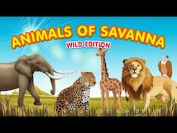 Savanna Animal Fun Facts for Kids!