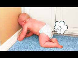 The Funniest Babies in the World – Get Ready to Laugh Out Loud! | Bipple