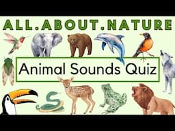 Guess These 15 Animal Sounds - Nature Game