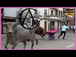 TOROS CUADRILLA VIRGEN DE LAS ANGUSTIAS LODOSA 2024