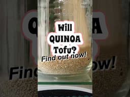 RESULTS HERE! Will QUINOA TOFU?! #supergrains #willittofu #veganuary