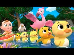 Five Little Ducks with Birds + MORE Lalafun Nursery Rhymes & Kids Songs