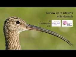 The Ornithorium: How to Make a Curlew Card Crown by Hannah Postlethwaite