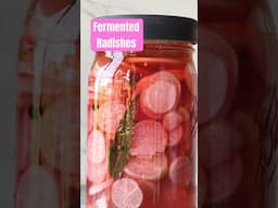 This is the only way I will eat radishes #fermentation