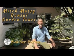 Mitch Matsey - Bonsai Garden Tours - Baikoen Bonsai Club