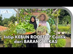 Panen Melimpah dari Kebun Rooftop | Kebun Nada