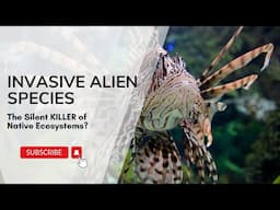 Invasive Alien Species: The Silent KILLER of Native Ecosystems? characters, effects, examples.