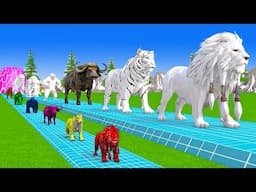 Paint & Animals Cow,Elephant,Lion,Tiger,Gorilla,Dinosaur, Fountain Crossing Transformation Cartoon