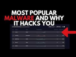 Most Popular Malware and Why It Hacks You