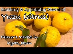 Yuzu (citrus) at Farmer’s Market | Kyoto, Japan