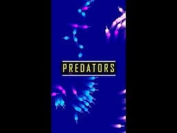 Boids Predators Emergent Behaviour #Shorts