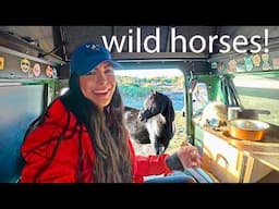 Overnight Island Truck Camping with Wild Horses