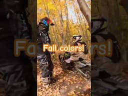 Dirt Bikes and Fall Colors! #automobile #michiganmotocross #dirtbike #offroadmotorcycle #enduro