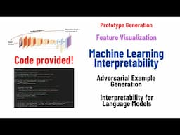 ML Interpretability: feature visualization, adversarial example, interp. for language models