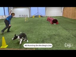 OneMind Dogs Either-or eBook exercise - Tunnel Traps