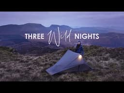 3 Nights Alone in the Wild! • A Mixed Weather Solo Camping & Hiking Adventure in Autumn