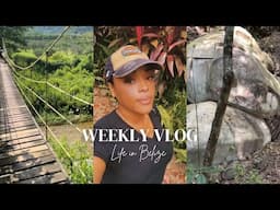 Weekly Vlog |Baking, Sorrel-Making & Relaxing at Sleeping Giant Lodge