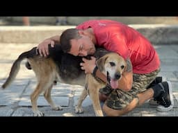 Helping Stray Dogs In Greece | Brandon McMillan