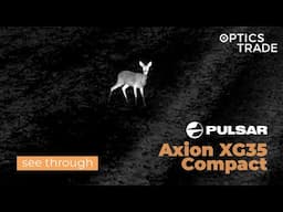 Roe Deer with Pulsar Axion XG35 Compact | Optics Trade See Through