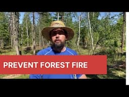 Preventing Forest Fire