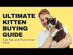 Ultimate Kitten Buying Guide: Top Tips and Must-Know Facts