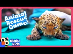 Can YOU Help These Animal Moms Rescue Their Babies? | Dodo Kids | Story Game