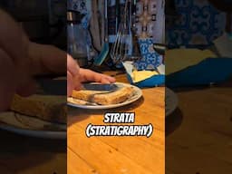 What is Strata (Stratigraphy)? A Definition.