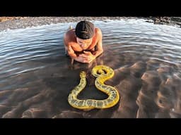 Exploring For Venomous Sea Creatures In Tide Pools