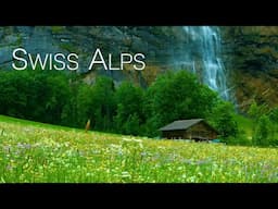 Beautiful Relaxing Music, Peaceful Soothing Instrumental Music, "Swiss Alps" by Tim Janis