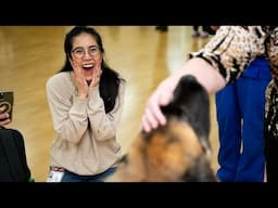 Therapy dogs help MD Anderson employees decompress