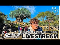 🔴 LIVE - Disney's Animal Kingdom - Walt Disney World Livestream 01.31.25