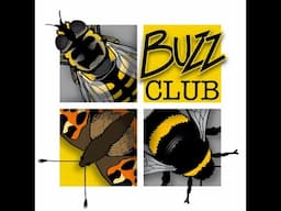 Buzz Club Christmas Appeal