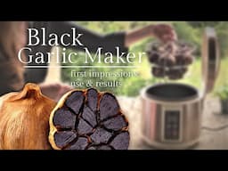 🧄 Black garlic maker review | How to make black garlic at home | French garlic