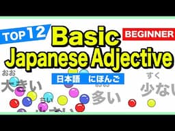 TOP12 Basic Japanese Adjective🇯🇵にほんご(Nihongo)🌸 Beginner