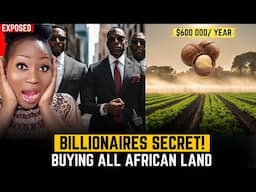 The Millionaires Nut: Why Billionaires Are Secretly Buying African Land For This Crop