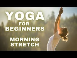 Chair Yoga for Beginners 🧘 Relax & Relieve Stress