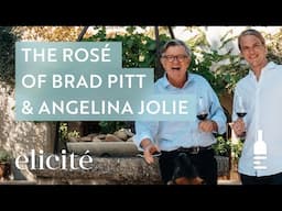 The Wine Partnership Between Brad Pitt, Angelina Jolie, and the Perrin Family