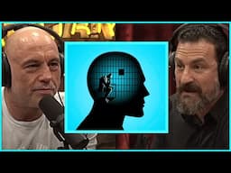 Neuroscientist Dr Huberman to Joe Rogan: "Everything Changes at 25 Years Old"