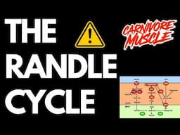 The Randle Cycle Explained