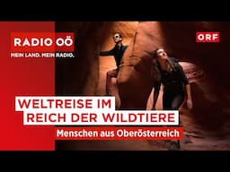 Traumreise: Einmal um die Welt im Reich der WILDTIERE 🎙🌍