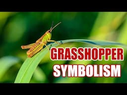 The Surprising Meaning of Grasshopper - Sign Meaning