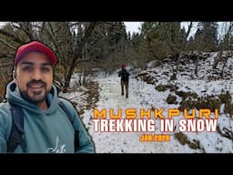 SOLO TREKKING IN SNOW - MUSHKPURI PEAK IN JAN 2025