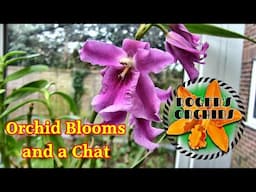 A Chat and New Orchid Blooms