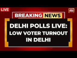 Delhi Voting LIVE News | Delhi Assembly Polls Ground Report | Voting For Delhi Elections Underway